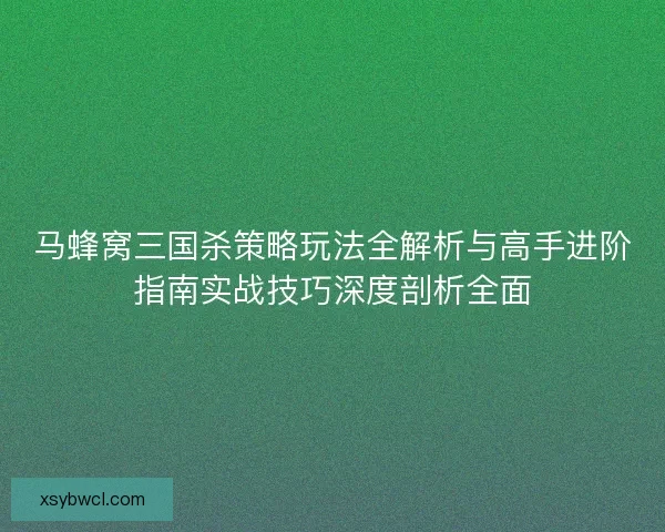 马蜂窝三国杀策略玩法全解析与高手进阶指南实战技巧深度剖析全面
