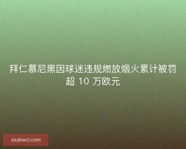 拜仁慕尼黑因球迷违规燃放烟火累计被罚超 10 万欧元