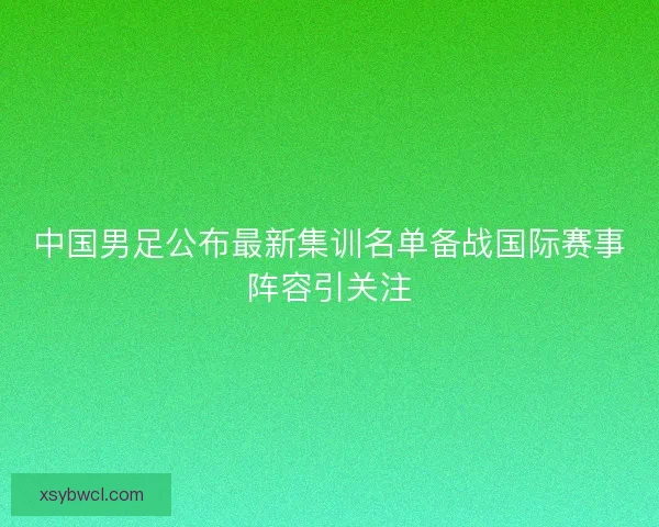 中国男足公布最新集训名单备战国际赛事阵容引关注